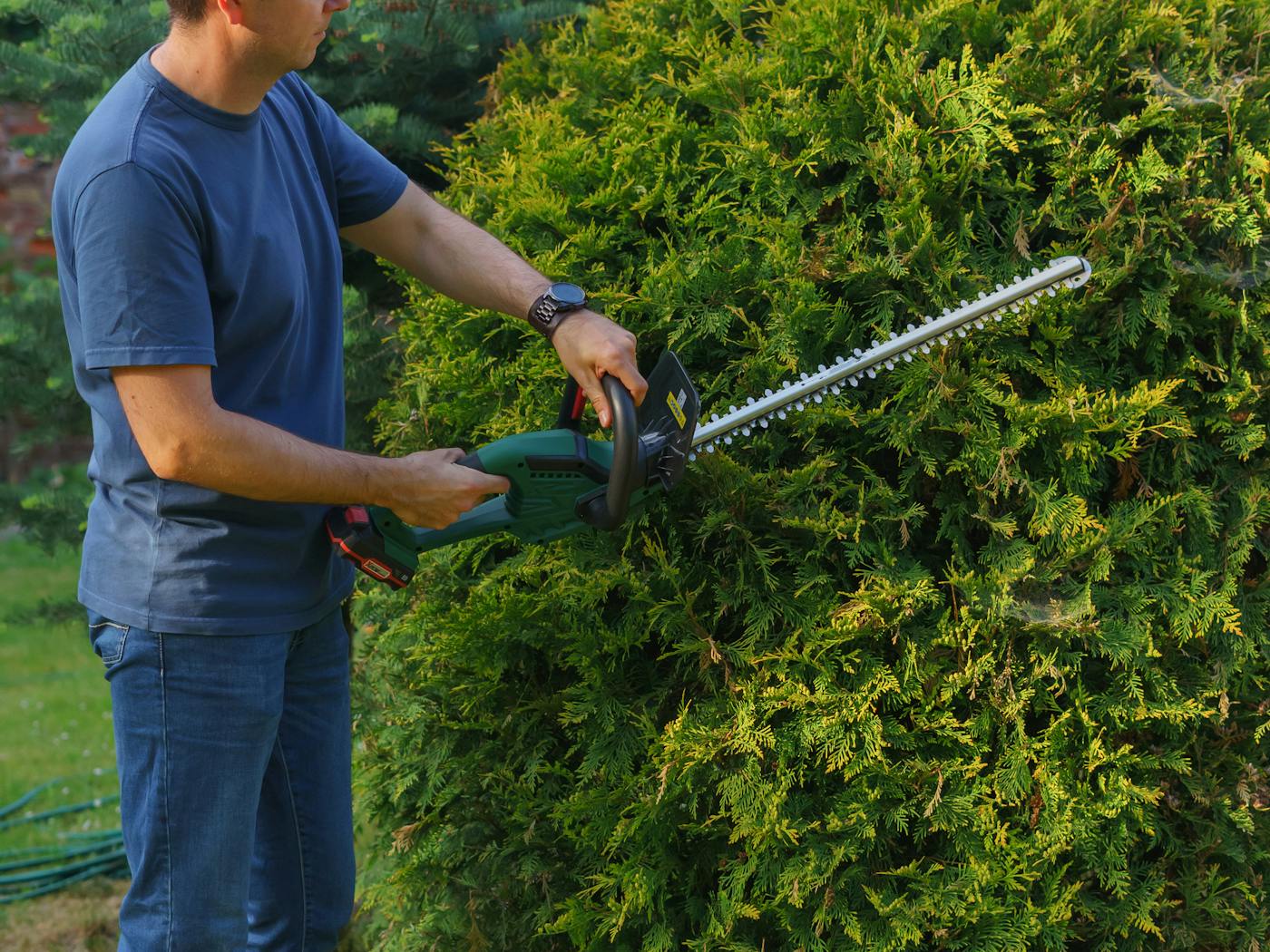 Hedges hand-shaped into a neat rectangle along a residential walkway.